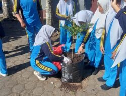 SMAN Jenggawah Untuk Wujudkan Sekolah Adiwiyata Laksanakan Giat Menanam Pohon