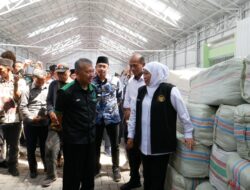Rumput Laut Sidoarjo Tembus Pasar Australia, Ekspor Perdana 15 Ton