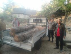 Mobil Pickup Pelaku Illegal logging Kembali di Tangkap Petugas Gabungan