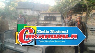 Mobil Pickup Pelaku Illegal logging Kembali di Tangkap Petugas Gabungan