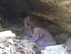 Tim STMJ Bantu Nenek Yang Hidup Dibawah Batu dan Jauh dari Pemukiman Penduduk