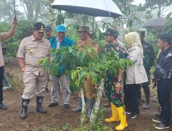 Dandim 0422/Lampung Barat Bersama Pj. Bupati Nukman Dampingi Gubernur Lampung Kenali Kopi Arabika Lambar