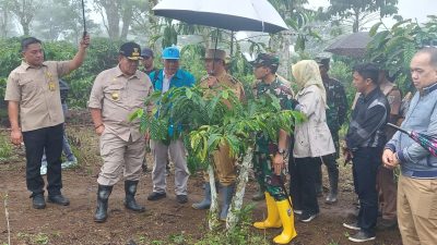 Dandim 0422/Lampung Barat Bersama Pj. Bupati Nukman Dampingi Gubernur Lampung Kenali Kopi Arabika Lambar