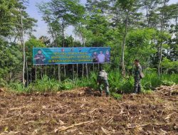 Sukseskan Program Hanpangan, Kodim 0822 Bondowoso Siapkan Lahan 1 Hektar