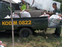 Dukung Ketahanan Pangan, Babinsa Koramil 0822/13 Tlogosari Manfaatkan Pupuk Kandang