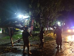 Gerak Cepat Babinsa 0822/15 Klabang Evakuasi Pohon Tumbang