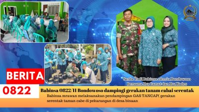 Babinsa 0822/11 Bondowoso dampingi gerakan tanam cabai serentak