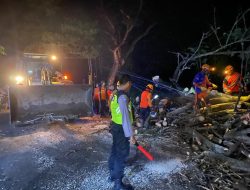 Polsek Prajekan Gerak Cepat Tangani Pohon Tumbang yang Menutupi Akses Jalan
