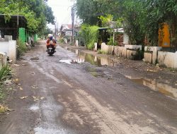 Jalan Rusak Desa Gemurung-Tebel Dikeluhkan Warga, Gus Muhdlor Pastikan Dibeton Tahun Ini