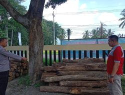 Polsek Klabang Berhasil Mengamankan llegal Loging di Lokasi BKPH Klabang