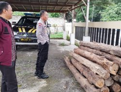 Polsek Klabang Amankan Puluhan Log Kayu Jati Hasil Illegal Logging