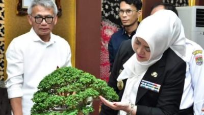 Bupati Musi Rawas Hj.Ratna Machmud Audiensi Bersama Perkumpulan Pengemar Bonsai Indonesia ( PPBI)