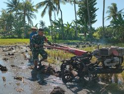 Babinsa 0822/14 Dampingi Petani Lakukan Pengolahan Tanah Sawah