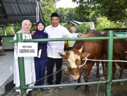 Gubernur Akmil Menyerahkan Hewan Kurban dalam Perayaan Idul Adha 2024