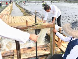 Presiden Joko Widodo Melakukan Peninjauan Terhadap Program Pemberian Bantuan Pompa