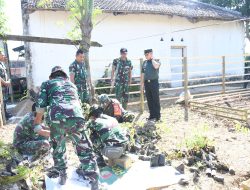 Dandim 0822 Bondowoso Tinjau Pembibitan di Makoramil 0822/02 Curahdami