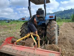 PTPN I Regional 5 Kebun Kali Telapak Hadirkan Teknologi Baru Untuk Mengatasi Setelah Tebu Pasca Musim Tebang