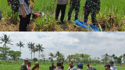 Kodim 0822 Bondowoso Dan Tim Satgas Antisipasi Darurat Pangan Wujudkan Swasembada Pangan Menuju Indonesia Maju dan Sejahtera