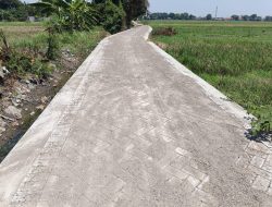 Melanjutkan Jalan Usaha Tani Desa Putat Melakukan Pavingisasi