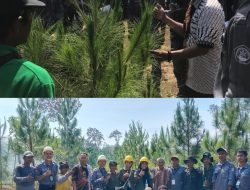 PERHUTANI BONDOWOSO BERIKAN PEMAHAMAN TENTANG VEGETATIF BIBIT TANAMAN PADA PKL MAHASISWA POLITEHNIK NEGERI KUPANG