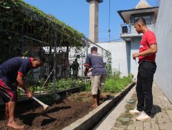 Upaya Mendukung Ketahanan Pangan Warga Binaan Lapas Jember Laksanakan Penanaman Sawi