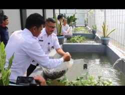 Kalapas Jember Hasan Basri Bersama Jajarannya Tebar 2000 Bibit Ikan Nila di Dua Kolam