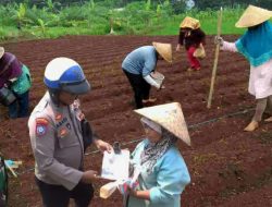 Sinergitas TNI-Polri di Bondowoso: Babinkamtibmas Berbagi Alat Pertanian untuk Dukung Ketahanan Pangan