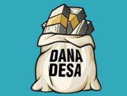 Diduga Angaran Desa Napal Licin Tahun 2023 Fiktif