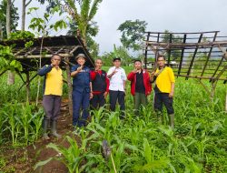 MISBAKHUL MUNIR DAN ANTON SUJARWO, ADAKAN PEMERIKSAAN LOKASI TANAMAN KE BKPH SUMBER WRINGIN