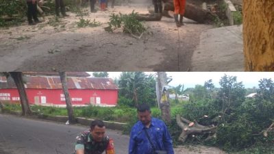 Akibat Pohon Tumbang, Babinsa dan Masyarakat Bekerja Cepat Amankan Jalan