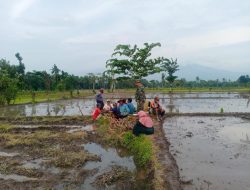 DANPOS JAMBESARI DORONG PRODUKTIVITAS PERTANIAN DI DESA GRUJUGAN LOR