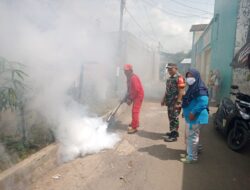 Waspada DBD,Babinsa Dampingi Fogging di Kelurahan Kotakulon