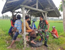 “Program Serapan Gabah Bulog Diperkenalkan Babinsa, Petani Lombok Kulon Siap Berpartisipasi