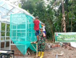 Rumah Pangan Lestari, Wujudkan Ketahanan Pangan TMMD Ke-123 Bondowoso