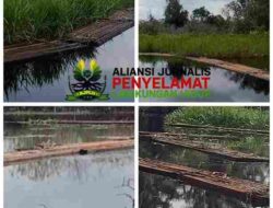 Hutan SM Kerumutan di Ambang Kehancuran, Riau Terancam Banjir Dahsyat: Jeritan Pilu dari Jantung Hutan Gambut