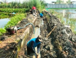 Realisasi Pekerjaan Plesengan Perbaikan Saluran Air Rumah Tangga dan Usaha Tani, Program Pengendalian Banjir Desa Banjarpanji