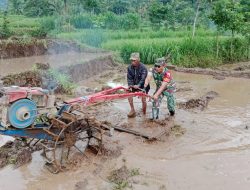Tak Hanya Jaga Wilayah, Babinsa Terjun Langsung Bantu Pembajakan Sawah Warga