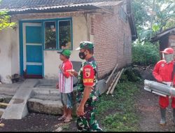 Waspada! Chikungunya Mengancam, Babinsa Dawuhan Serka Adam Turun Langsung Kawal Fogging Cegah Wabah