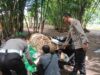 Tegas Berantas Perjudian Polisi Bongkar Lima Arena Sabung Ayam di Jember