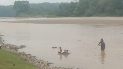 Hancurnya Biiodata Sungai Rawas Karena Ulah Penambang Liar, Masyarakat Kecil dapat Imbasnya