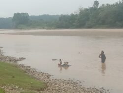 Hancurnya Biota Sungai Rawas oleh Rakus-rakus, Masyarakat Kecil dapat Imbasnya