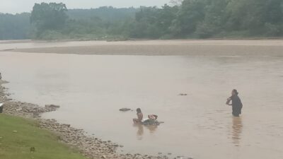 Hancurnya Biiodata Sungai Rawas Karena Ulah Penambang Liar, Masyarakat Kecil dapat Imbasnya