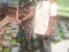 Prasarana Kesiapan Ketahanan Pangan, Green Hause Technology Auto Kapiler di Yon Armed 8 Jember