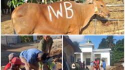 IWB Laksanakan Qurban Kedua di Masjid Al-Mukhlisin