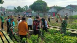 Sinergi TNI, Polri, dan Sekolah Wujudkan Ketahanan Pangan di Tenggarang Kab Bondowoso