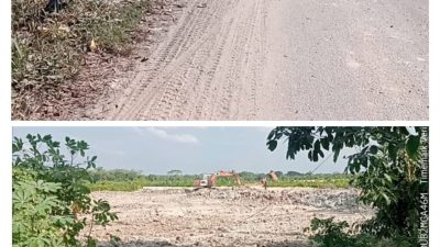 Debu Penimbunan Cemari Desa Rimbo Panjang, Galian Ilegal Dibiarkan