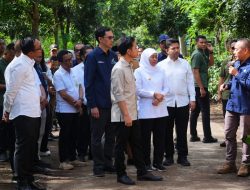 ANGKAT POTENSI KOPI INDONESIA WAPRES GIBRAN KUNJUNGI PMO KOPI PERHUTANI DI BONDOWOSO