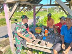 Babinsa Ngopi Bareng Petani di Gubuk Sawah,TNI Selalu Hadir Ditengah Masyarakat