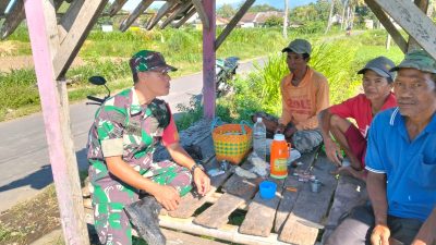 Babinsa Ngopi Bareng Petani di Gubuk Sawah,TNI Selalu Hadir Ditengah Masyarakat