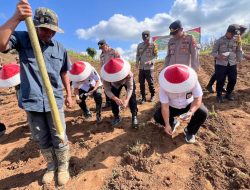 Dukung Asta Cita Presiden Prabowo, Polresta Banyuwangi Tanam Jagung Serentak Kuartal III di Lahan PTPN